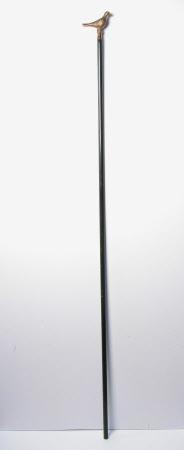Staff