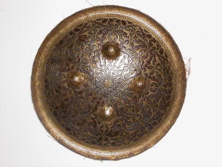 Shield