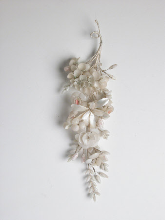 Shell picture