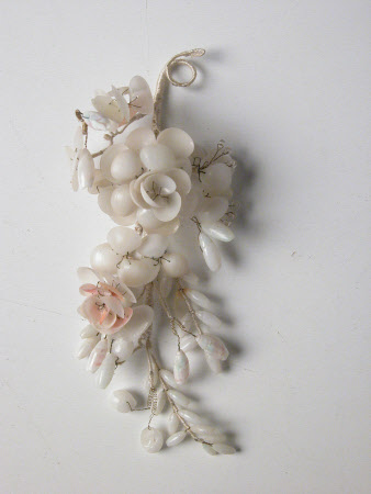 Shell picture