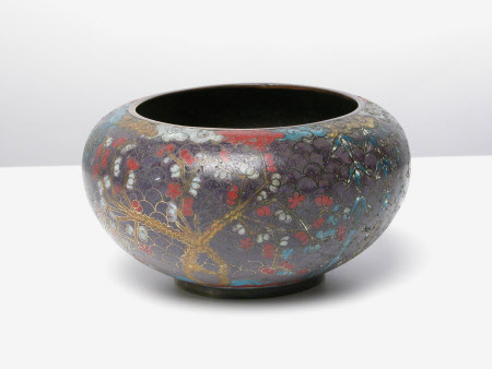 Bowl