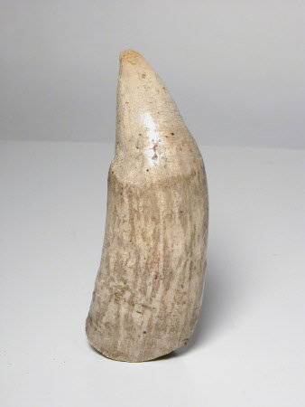 Tooth