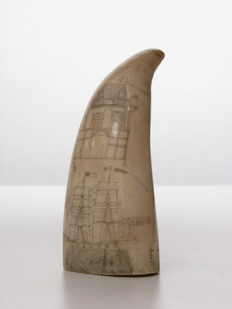 Scrimshaw tooth