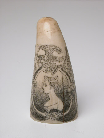 Scrimshaw tooth