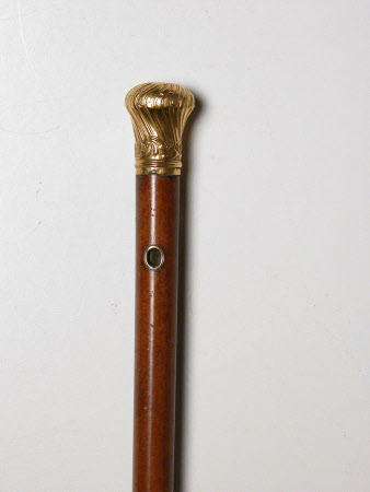 Walking stick