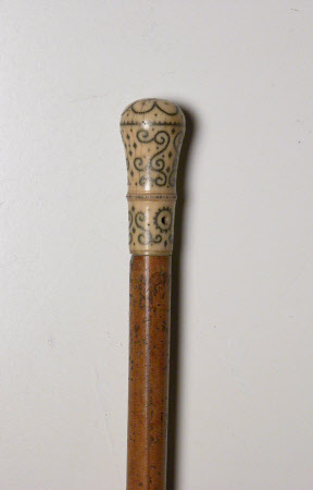 Walking stick