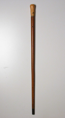 Walking stick