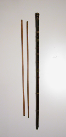 Walking stick