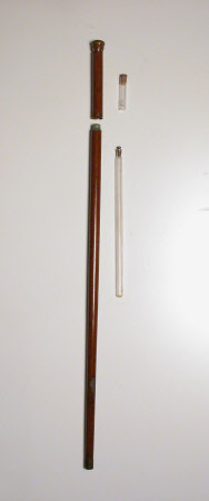 Walking stick