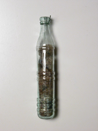 Witch's bottle