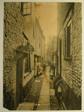 Photograph