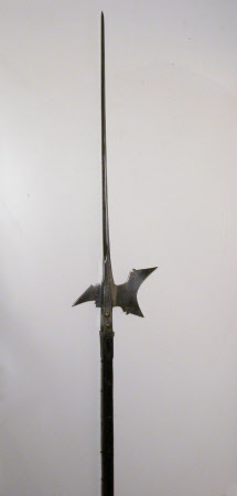 Halberd