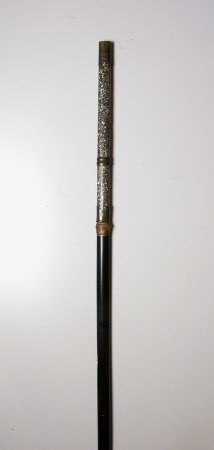 Weapon pole
