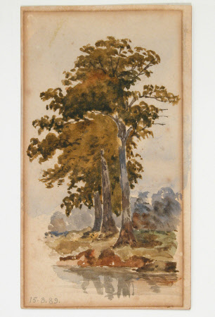 Watercolour drawing