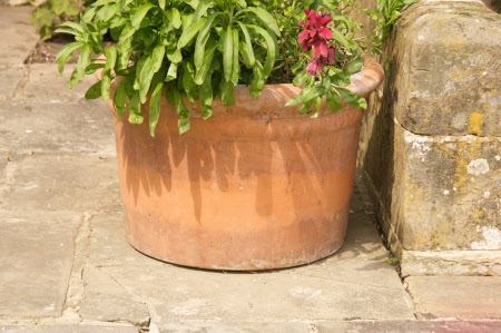 Plant pot