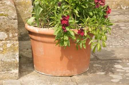 Woolbeding © National Trust / Simon Harris