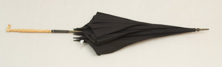 Umbrella
