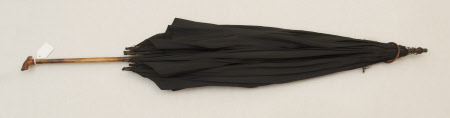 Umbrella