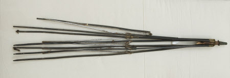 Umbrella