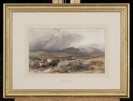 Scottish Highlands with a Drove of Cattle