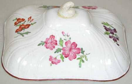 Vegetable dish cover