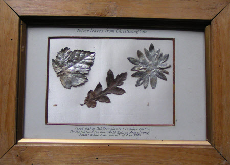 Oak leaf