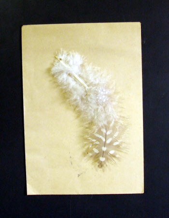 Feather