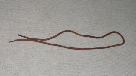 Shoelace