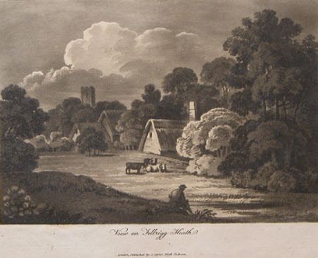 Felbrigg Heath, Norfolk