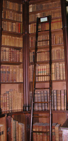 Library ladder