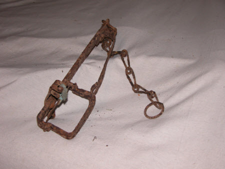 Animal trap