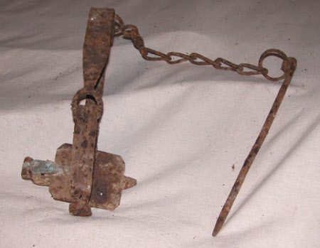 Animal trap