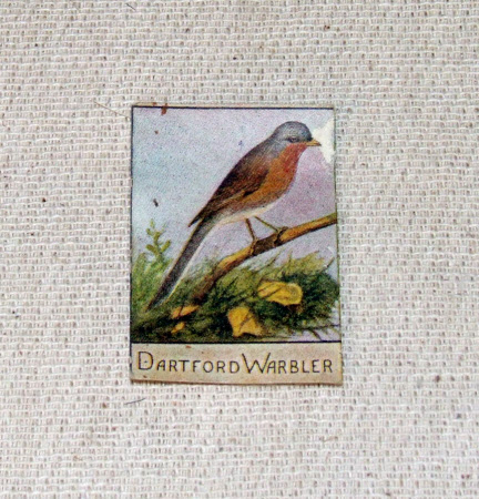 Trade card