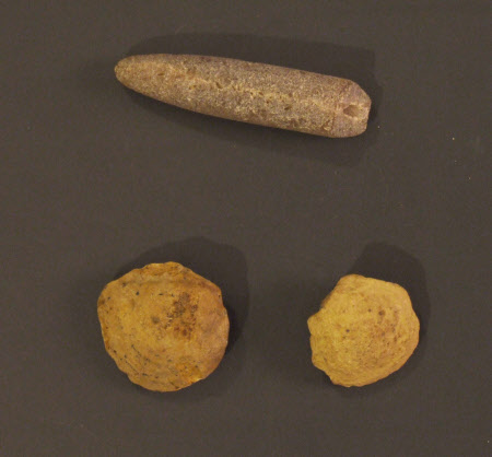 Belemnite fossil