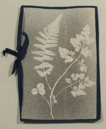 Document case