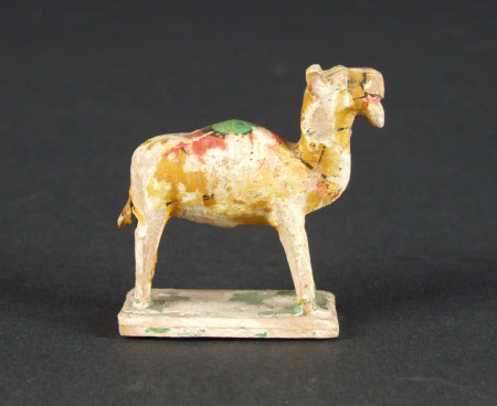 Camel