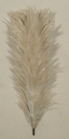 Uniform plume