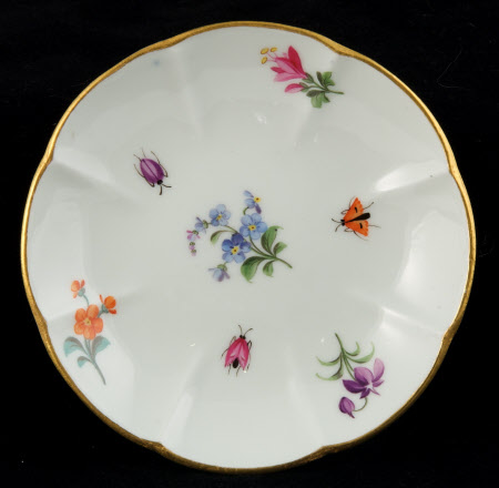Saucer