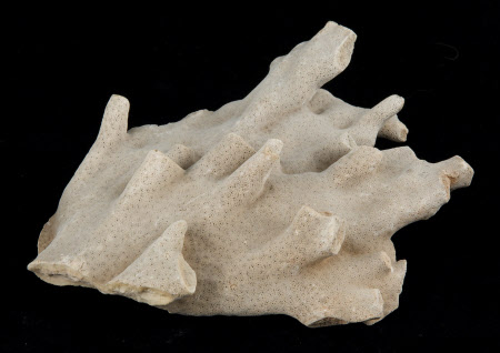 A la Ronde © National Trust / Simon Harris