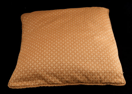 Cushion