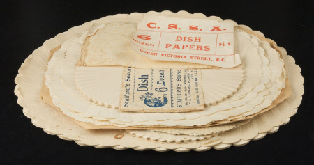 Dish liner