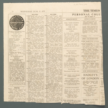 Newspaper article