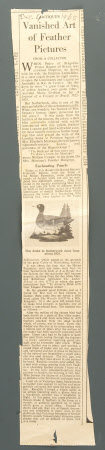 Newspaper article