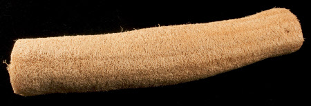 Loofah