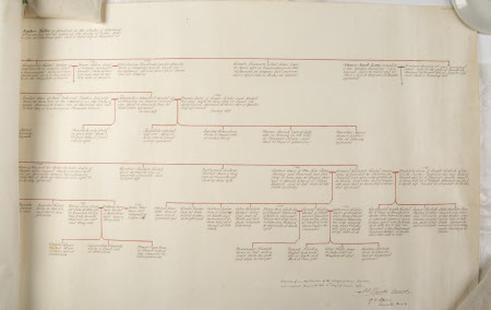 Pedigree