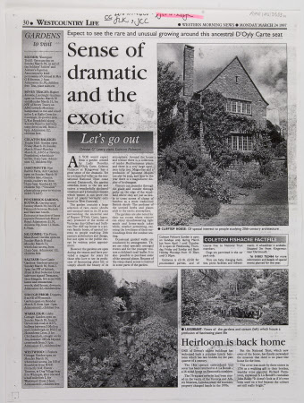 Newspaper article