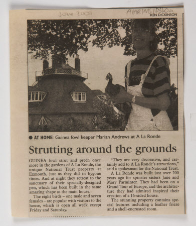 Newspaper article