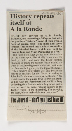 Newspaper article