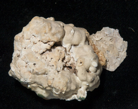 Stone