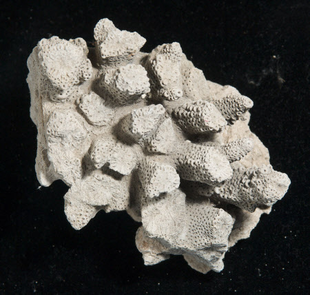 A la Ronde © National Trust / Simon Harris